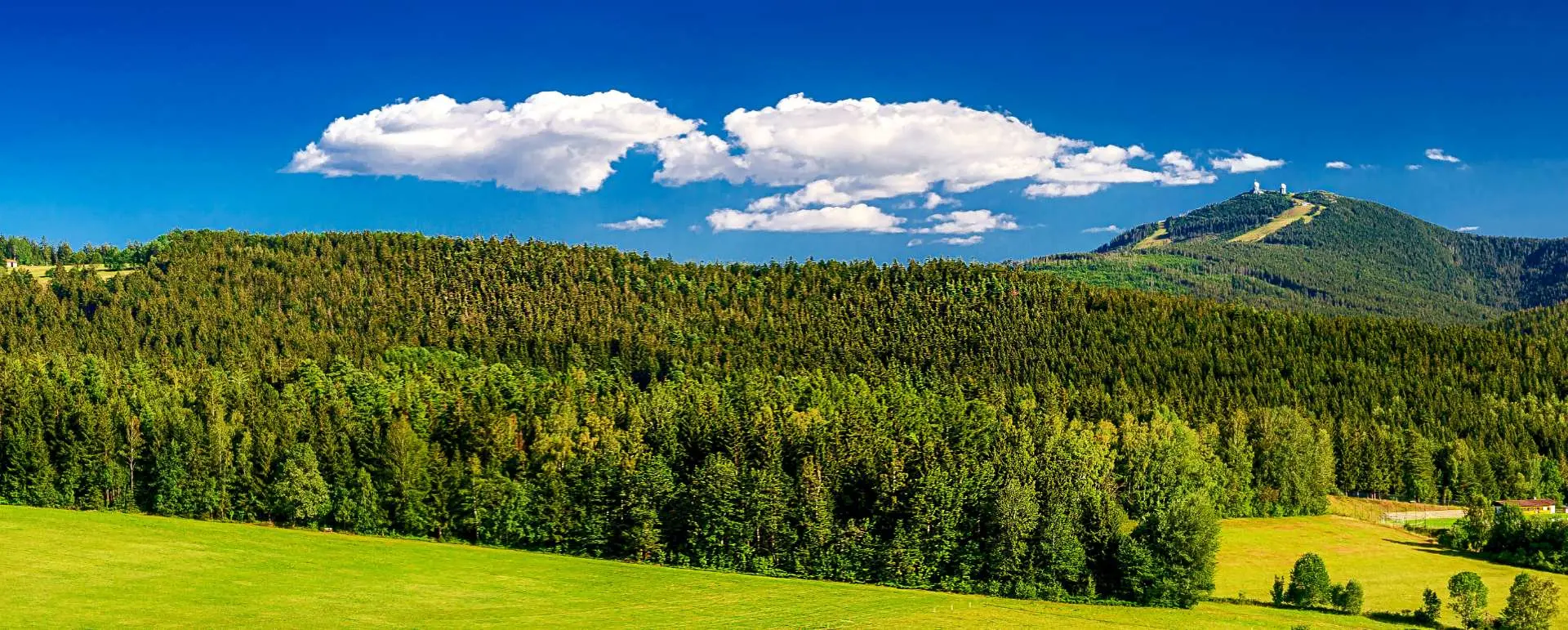 Foresta bavarese - la destinazione per i gruppi