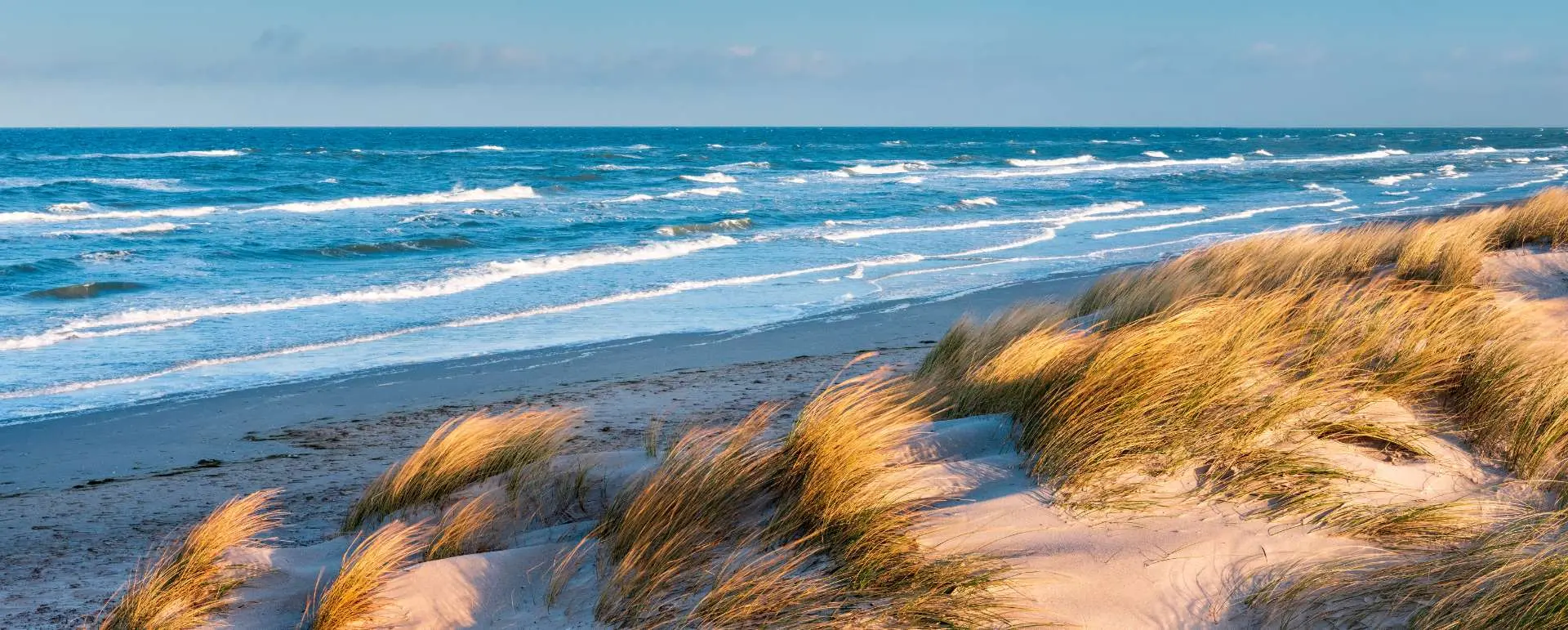 Fischland-Darß-Zingst - the destination for company trips