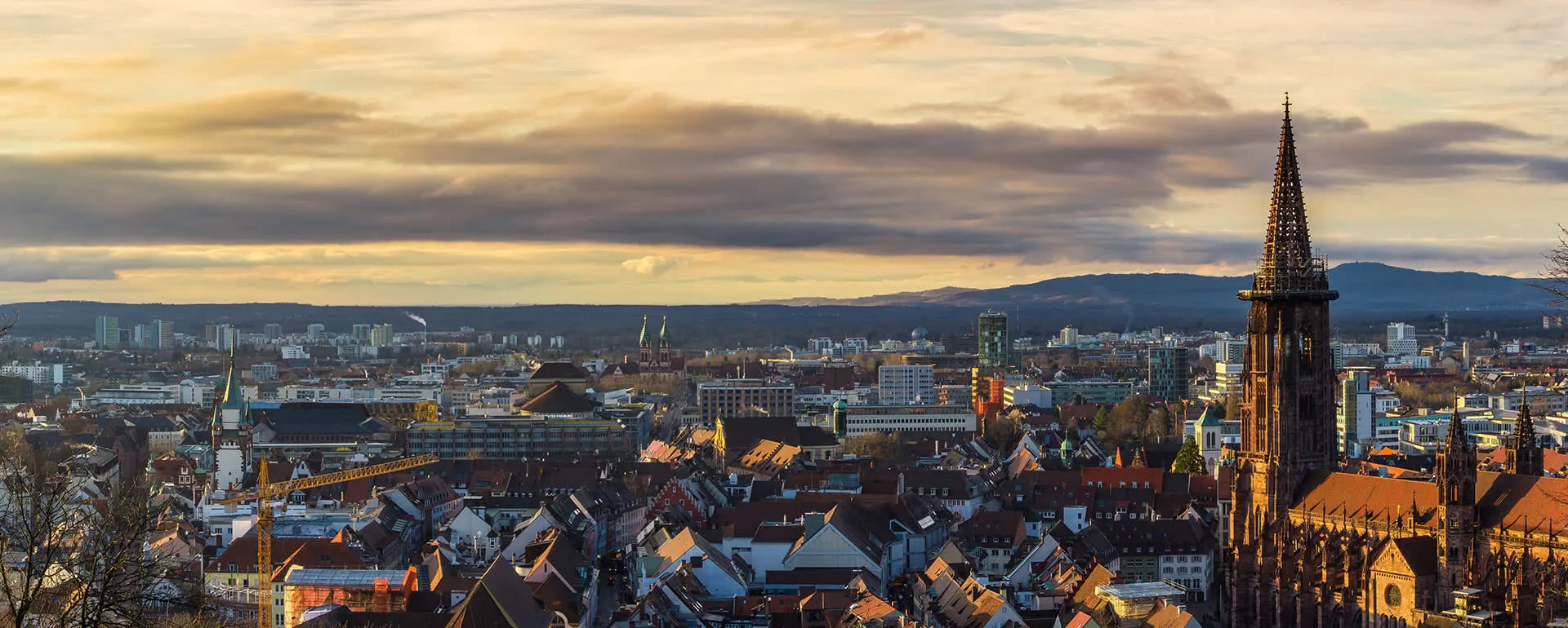 Freiburg im Breisgau Panorama Bild