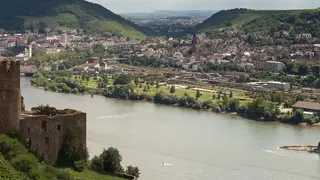 Rüdesheim am Rhein Panorama Bild
