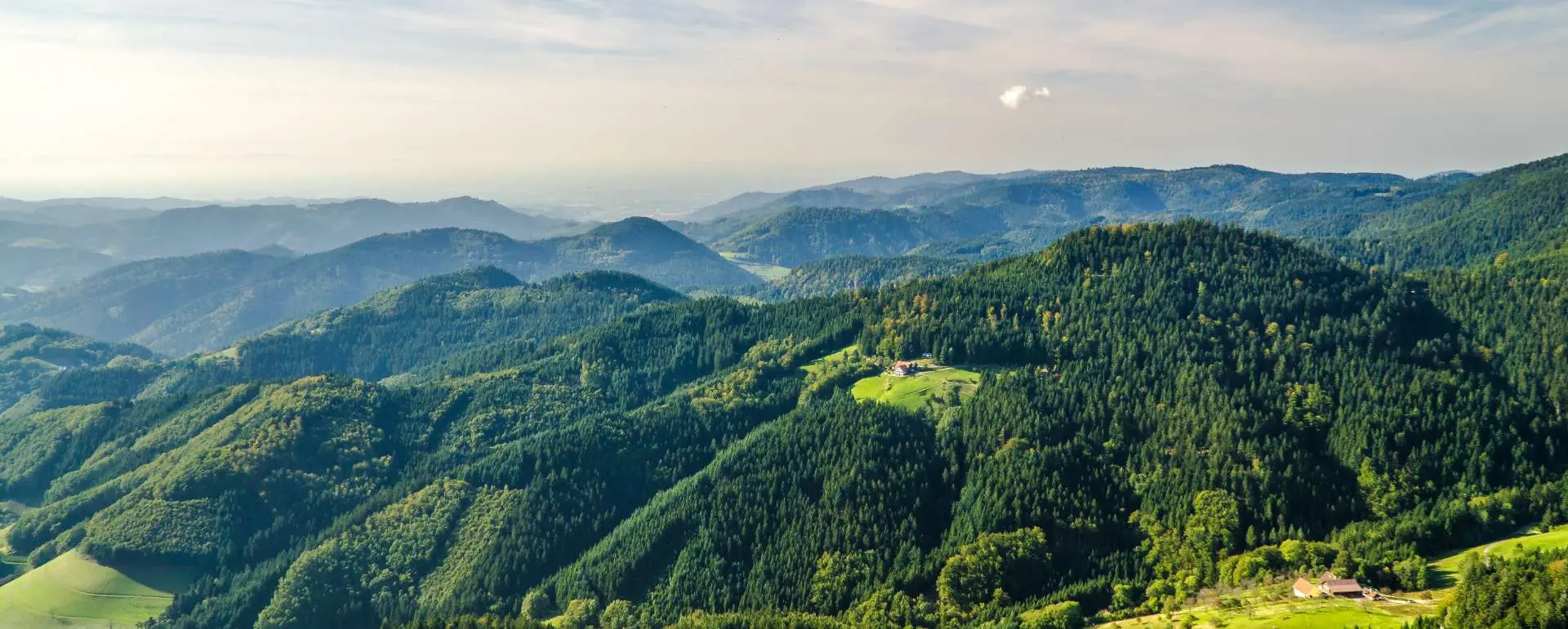 Black Forest - the destination for company trips
