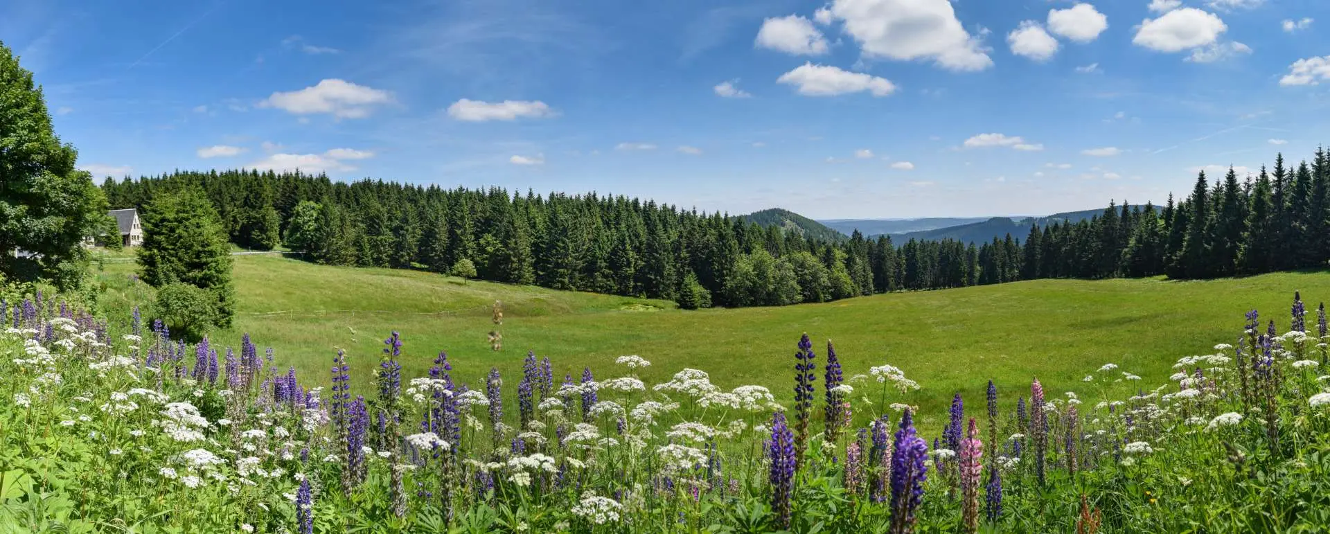 Thuringian Forest - optimal hotels for choir and music groups