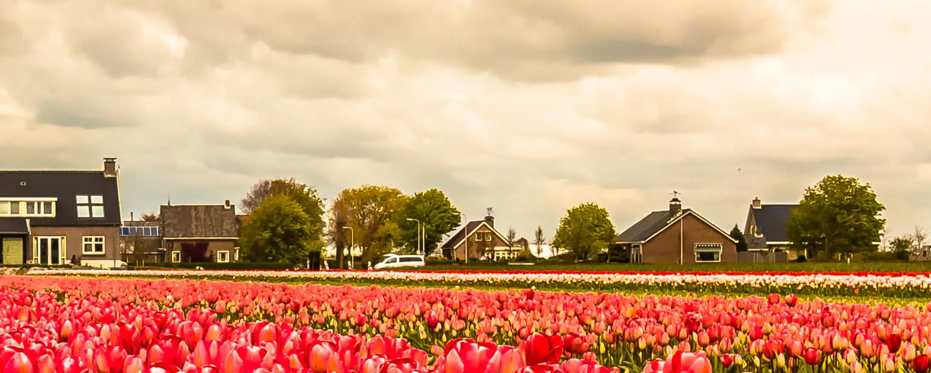 Noordwijk - the destination for school trips