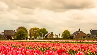 Noordwijk panorama image