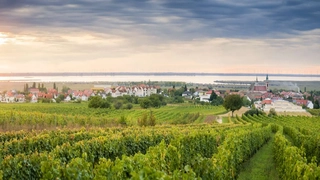 Burgenland panorama image