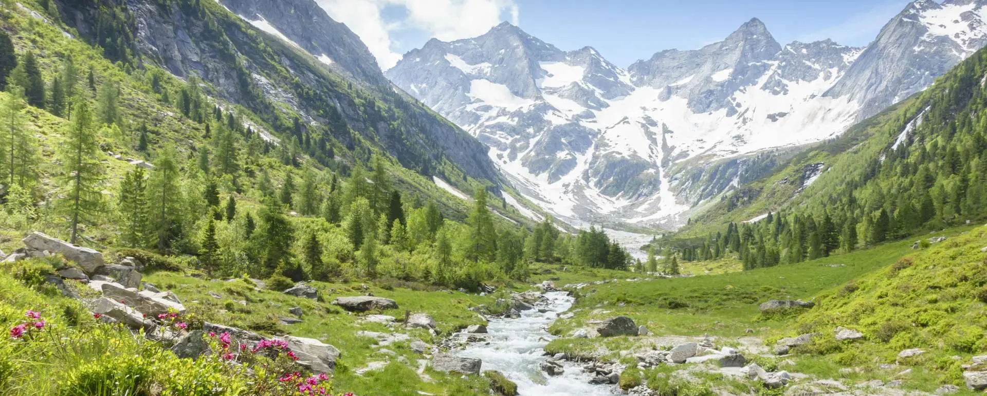 Alpbachtal - the destination for hikers