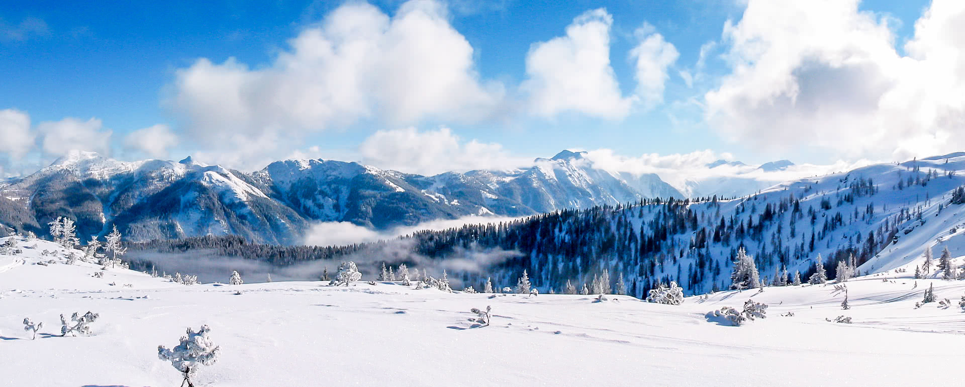 The best 9 hotels with group offers in Flachau (from €34) - tripmakery