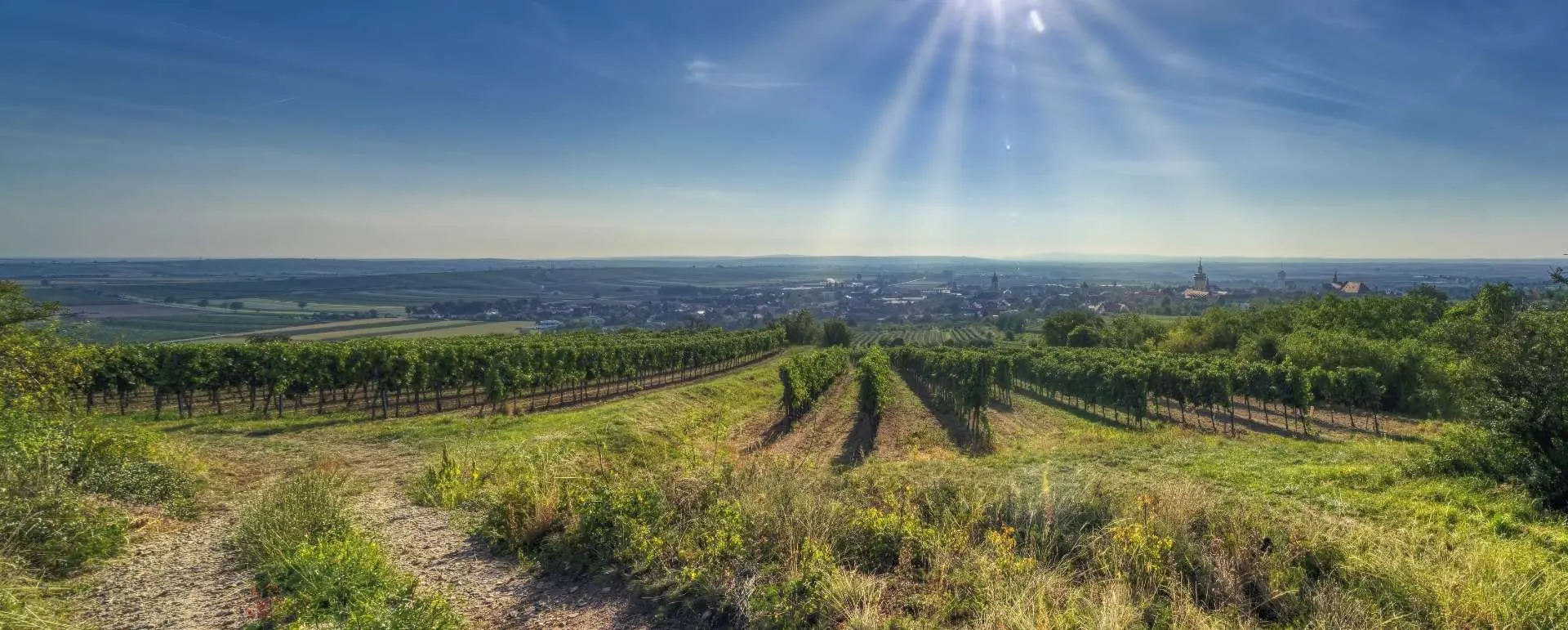 Lower Austria - the destination for workers