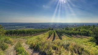 Niederösterreich Panorama Bild