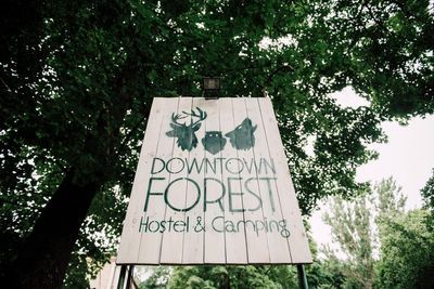 Building hotel Hostel Downtown Forest Hostel & Camping   