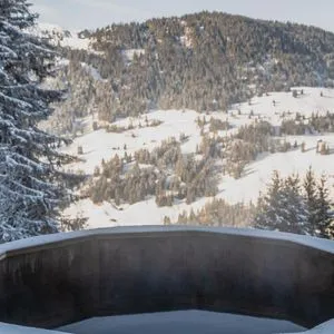 Rinderberg Swiss Alpine Lodge Galleriebild 3