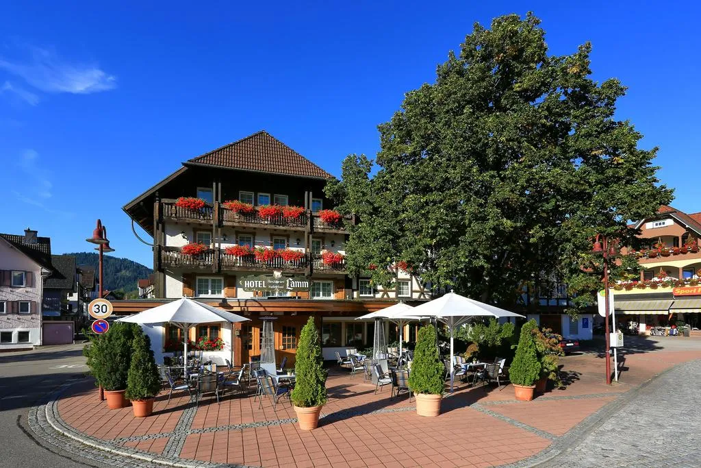 Building hotel Hotel Lamm Mitteltal