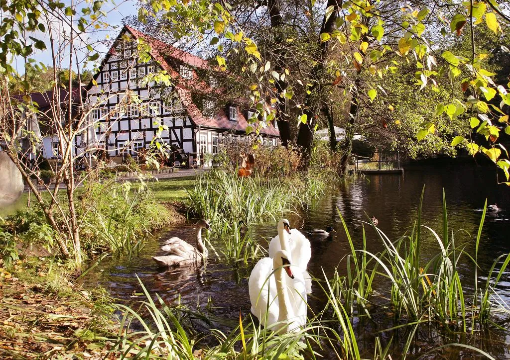 Building hotel Springbach-Mühle Belzig OHG