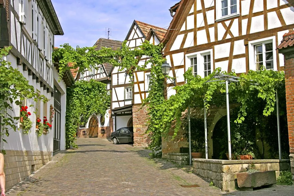 Südpfalz-Terrassen
