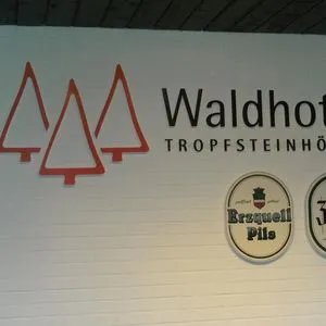 Waldhotel Tropfsteinhöhle Galleriebild 3