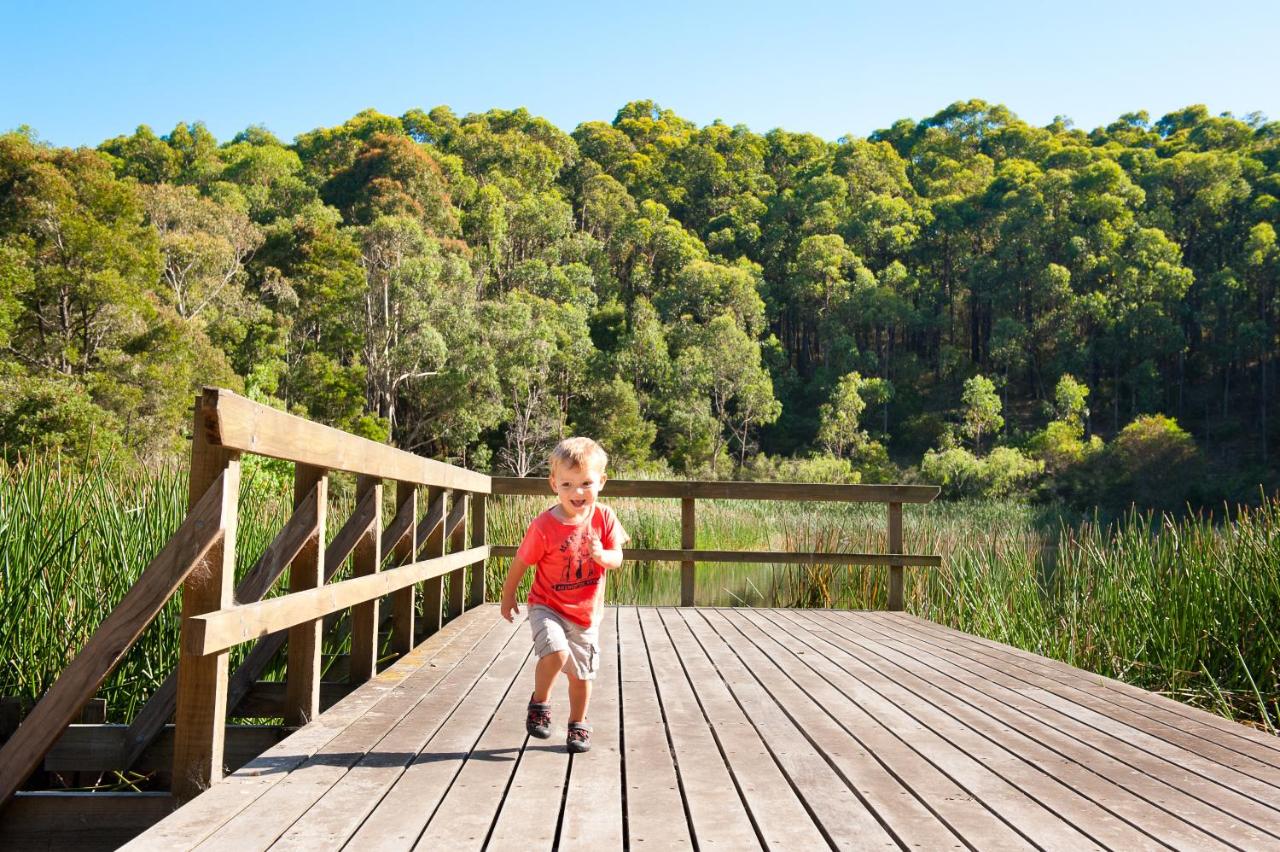 Building hotel BIG4 Yarra Valley Park Lane Holiday Park