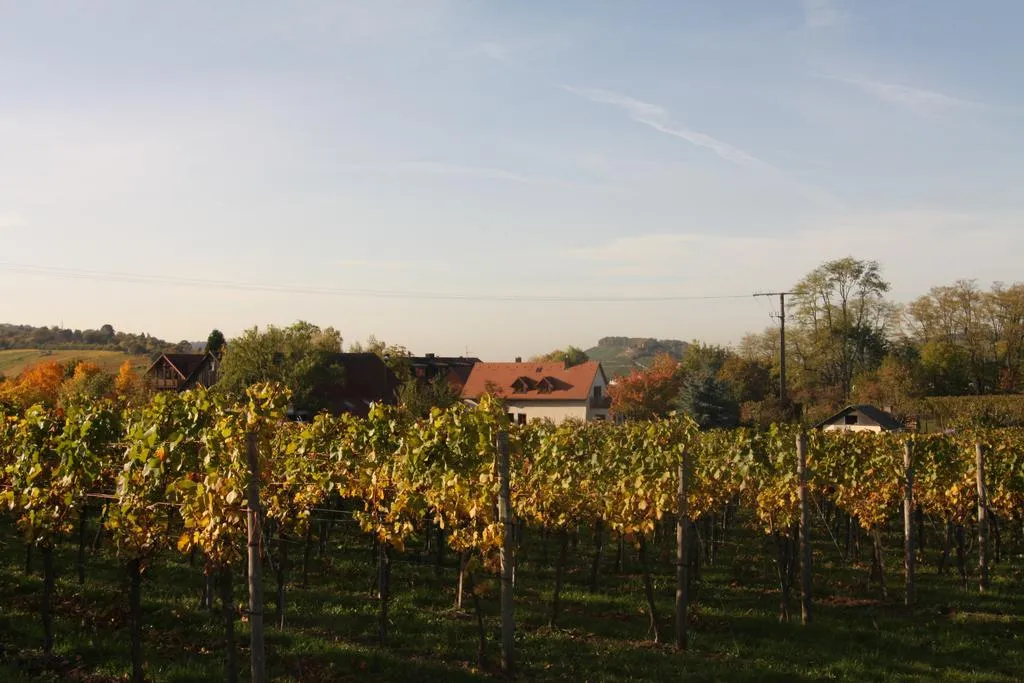 Hotel Rappenhof