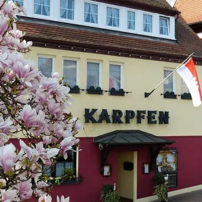 Hotel & Restaurant Zum Karpfen Galleriebild 0