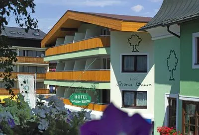 Building hotel Hotel Grüner Baum