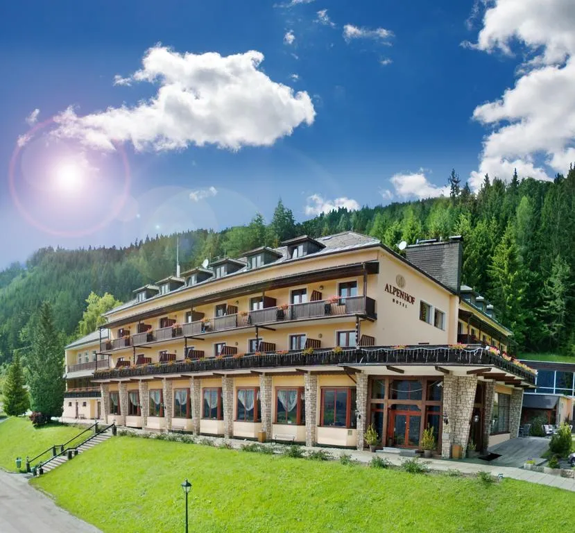 Building hotel Hotel Alpenhof
