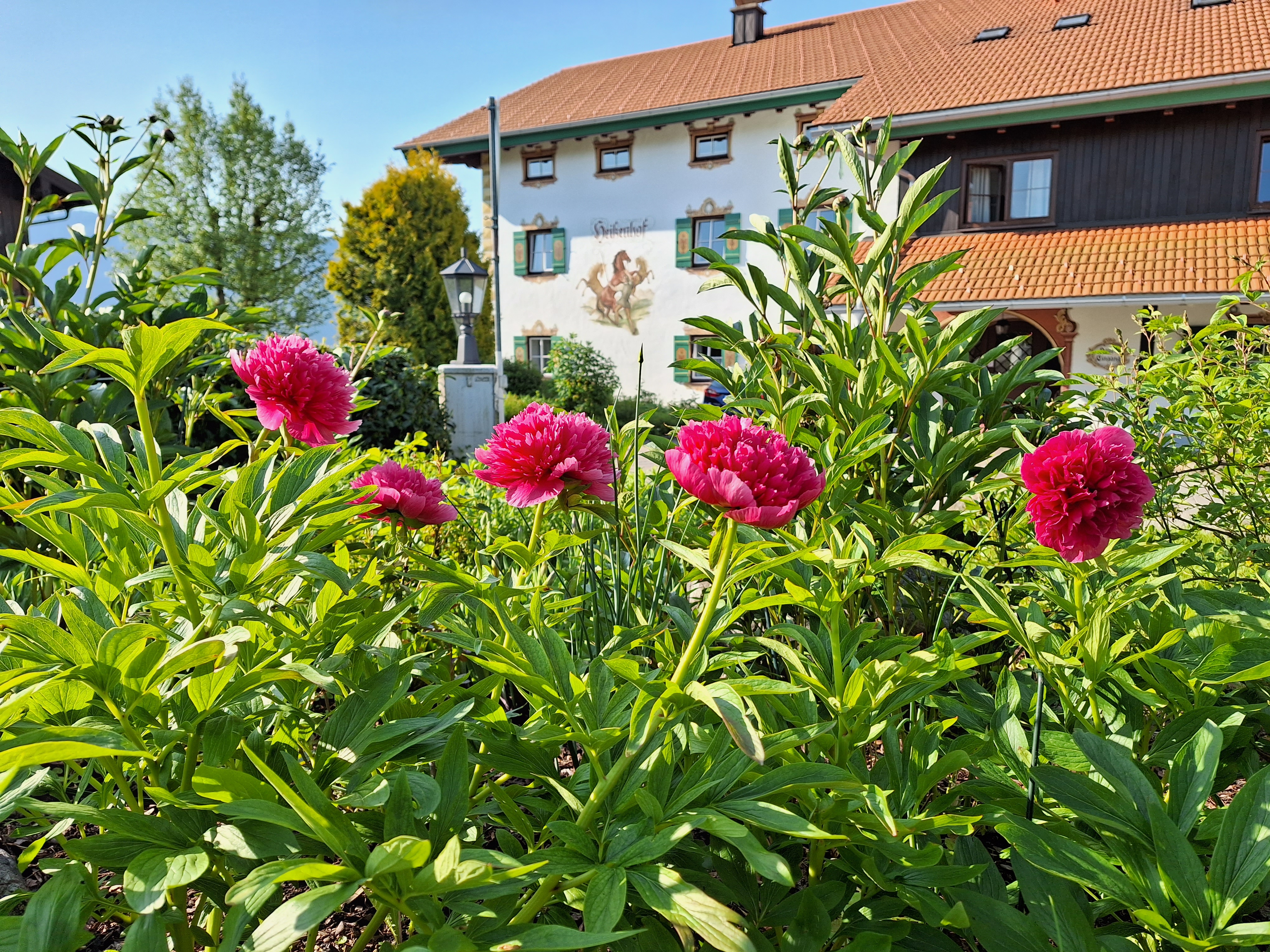 Building hotel Hotel Heißenhof