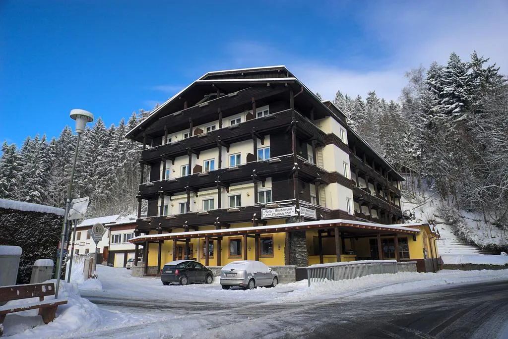 Building hotel Natur- und Wanderhotel am Steinbachtal