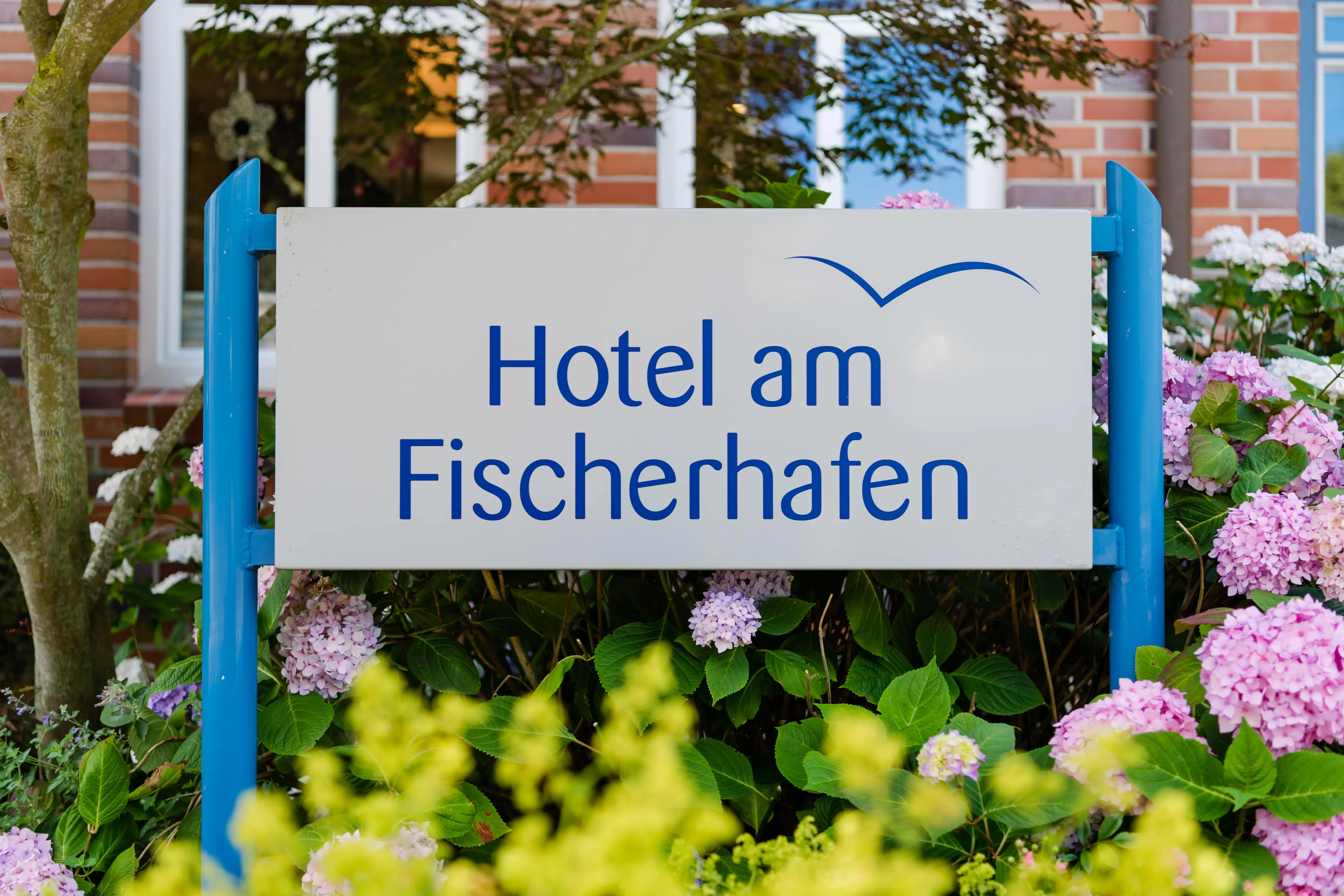 Building hotel Hotel am Fischerhafen