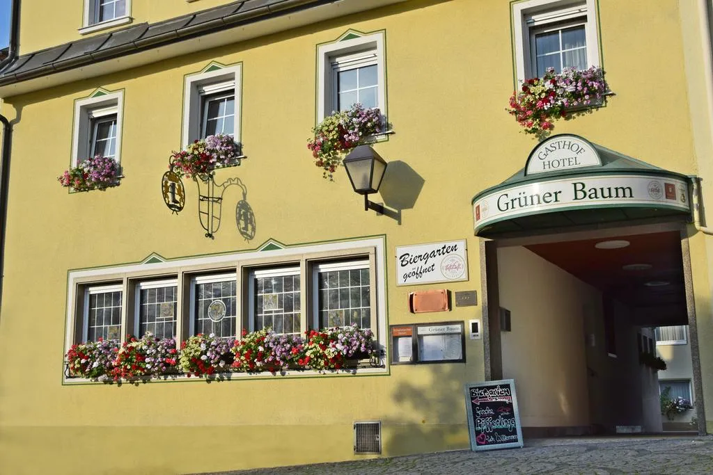 Hotel Grüner Baum Naila
