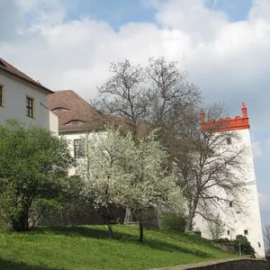 Schloss-Schänke Hotel garni mit Weinverkauf Galleriebild 7
