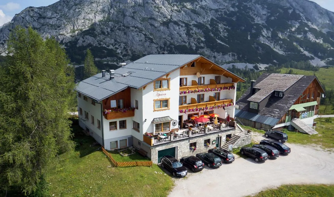 Alpenrose